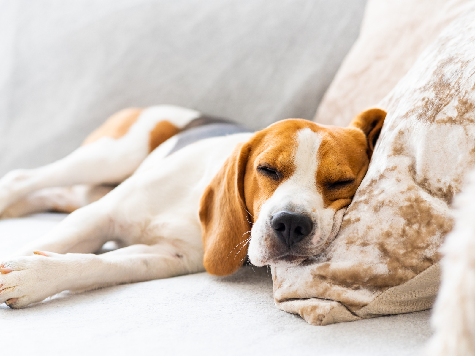 How to make a cold room warm