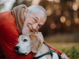 Older dog being gently cuddled by its owner outdoors